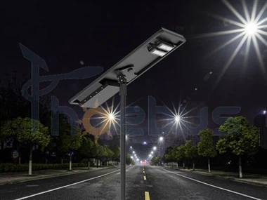 Sovellukset Kaikki yhdessä Solar Street Lights lintupysäytimillä